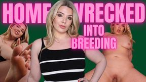 Homewrecked into Breeding your Ex