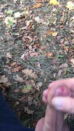 Jerk off my cock