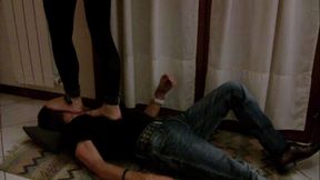 A341 Lady Svesda in il mio primo trampling