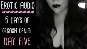 Control & Denial Asmr Audio Series - Day 5 Of 5 (audio Only Joi Femdom Lady Aurality)