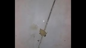 Tiago gozo igual cavalo