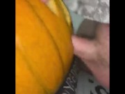 FAT BEAR BREEDING 2 PUMPKINS WITH MY UNCUT COCK COMPILATION
