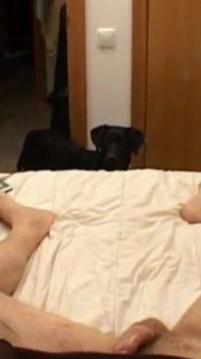Alys Rebel: Great Young Alys Rebel Removing Clothes