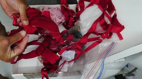My First Honey Birdette Lingerie Unboxing - Soon to be Fuck Rags