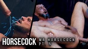 MR. HORSECOCK PT. 5