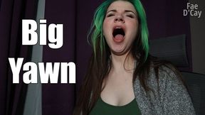 Big Yawn AVI