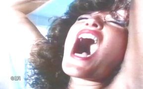 Rare bondage files 6 - My house is not safe