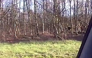 Slut Tagged In The Hotel Room