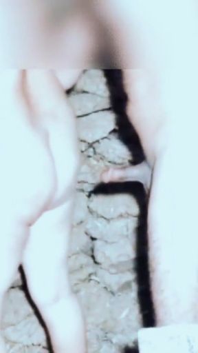 Caldo video pakistano rabi peerzada   Clip 2