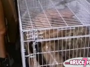 Caged vintage lesbians
