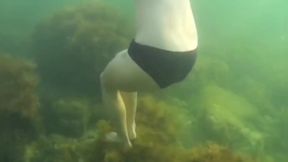 Swimming and Flashing in the Sea