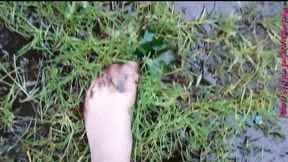 Nylon feet have fun in the dirty puddle