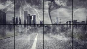 LP-276 You Got My Money Mofo-1080HD