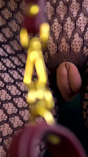 Reprogrammed for Obedience