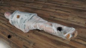 Sonya, the maid, in a cocoon of webs in a vacuum bed