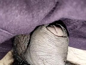 What a penis
