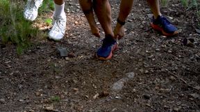 Cruise in the Forest