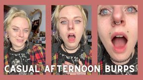 Casual Afternoon Burps