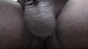 Hot Black Seed Dominant Seeding Position.