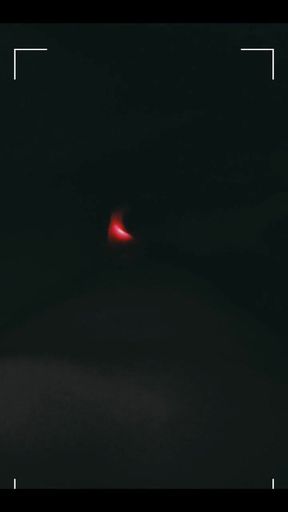 3795062077.mp4
