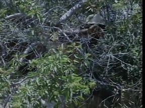 Hot bitch ass fucked on the hiking trail