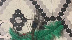 Master in bondage story MP4