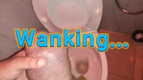 Wanking in toilet