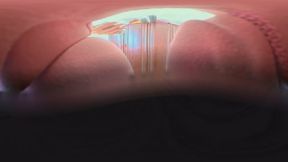 8K VR360 Martina s Hip Humiliation Dwarf English and Chinese