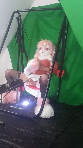 Dildo in My Furry Ass 1