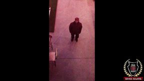 busty brunette jaylene rio enjoys riding rome major s bbc to milk it!