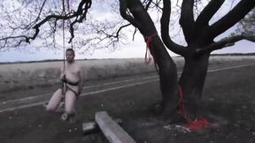 Walk in the forrest in Germany