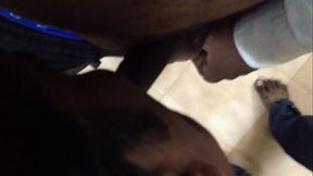 IMG 1029[1]