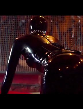 Today the Slave Will Be Fucked!