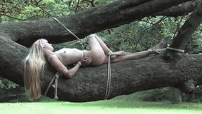 bondage tree with Tiny Lolicoon - mp4 720p