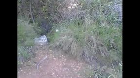 Balade en for&ecirc_t