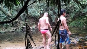 grupal na floresta