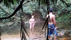grupal na floresta