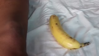 Banana in the black pussy,playing with banana කළු කිම්බට කහ කෙසෙල්