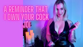 Reminder that I own your cock JOI