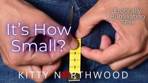 It's How Small?