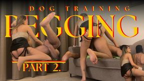 Dog Training Pegging Part 2