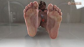 Giantess Feet Persia's Dirty Foot Crush! 720 HD