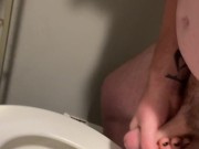 Gainer Piggy Fun