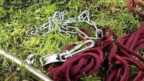 Absolute BDSM - Anal Taken Apart