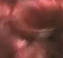 Big GG grande linda bonecona
