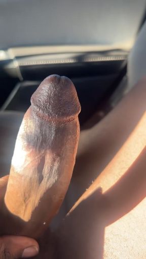 Inna Backseat Of A Car Butt Ass Naked Playing Around With My Fat Black Cock