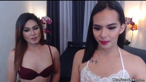 Shemale girlfriends making love on cam