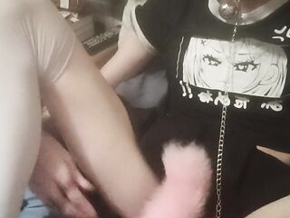 Puppy TS begin playing