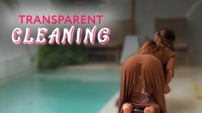 Seductive cleaning by a naked brunette with a BIG ASS in a transparent robe