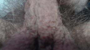 Hairy Balls and Cum